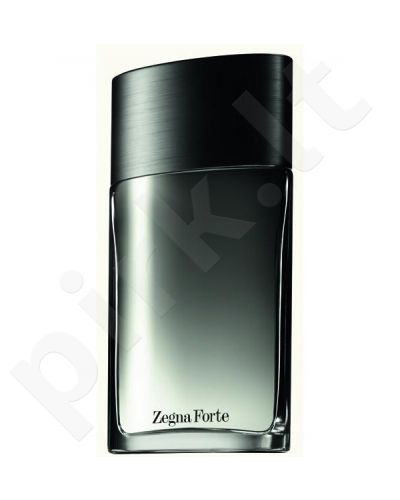 Ermenegildo Zegna Zegna Forte, tualetinis vanduo (EDT) vyrams, 100 ml