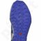 Sportiniai bateliai  Salomon City Cross Aero W L37983700