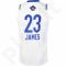 Marškinėliai krepšiniui Adidas Replica LeBron James All-Star M AU6121