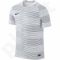 Marškinėliai futbolui Nike Flash Graphic 1 M 725910-100