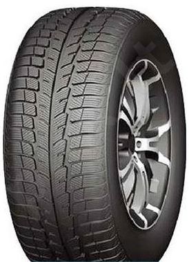 Žieminės Aplus A501 R15
