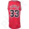 Marškinėliai krepšiniui Adidas Swingman Chicago Bulls Retired Scottie Pippen M AT2362