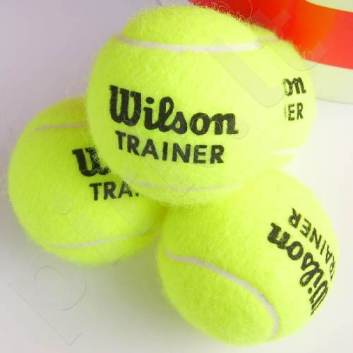 Teniso kamuoliukas Wilson Team Trainer 2015r. 1 vnt