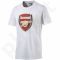 Marškinėliai Puma Arsenal Football Club Fan Tee M 749297051
