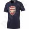Marškinėliai Puma Arsenal Football Club Fan Tee M 749297021