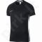 Marškinėliai futbolui Nike Dry Academy SS M AJ9996-010
