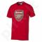 Marškinėliai Puma Arsenal Football Club F.C. Fan Tee M 74749001