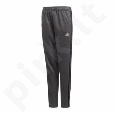 Sportinės kelnės Adidas TAN TR Panty Junior CZ8701