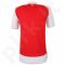 Marškinėliai futbolui Puma Arsenal Football Club Home Replica Shirt  M 74756601