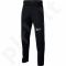 Sportinės kelnės Nike Therma Pant GFX Junior 909082-011