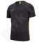 Marškinėliai futbolui Nike Dry Academy SS M AJ9996-060