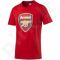 Marškinėliai Puma Arsenal Football Club Fan Tee M 749297011