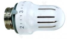 Galva termostatinė 4033