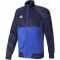 Bliuzonas  treniruotėms Adidas Tiro 17 M BQ2597