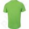 Marškinėliai tenisui Head Transition Ivan T-shirt M 811596-GNNV