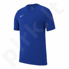 Marškinėliai Nike Team Club 19 Tee M AJ1504-463