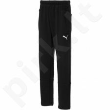 Sportinės kelnės Puma Liga Casuals Pants Junior 655635 03