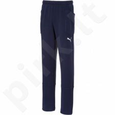 Sportinės kelnės Puma Liga Casuals Pants Junior 655635 06