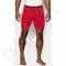 Kompresiniai šortai Under Armour HeatGear® Armour Compression Shorts – Mid M 1257470-600