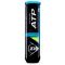 Lauko teniso kamuoliukai ATP CHAMPIONSHIP 4-tube