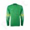 Marškinėliai vartininkams Nike Goleiro Jersey M 588417-307
