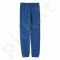 Sportinės kelnės Adidas Essentials Linear Pants Junior BK3484