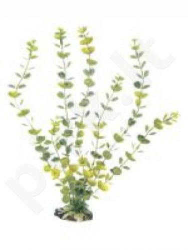 Plastikinis augalas PLANT CLASSIC HYDROCOTYLE LG