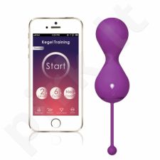 MAGIC MOTION - SMART KEGEL BALL TWINS PURPLE