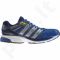 Sportiniai batai bėgimui Adidas   Response Stability M Q33526