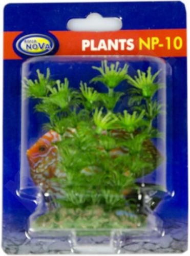 AQUA NOVA plastikinis augalas 10cm