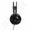 Ausinės SteelSeries SIBERIA V2 USB BLACK