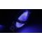 Ausinės SteelSeries SIBERIA V2 FROST BLUE