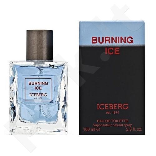 Iceberg Burning Ice, tualetinis vanduo vyrams, 100ml