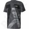 Marškinėliai Adidas Terrex Logo Tee M AZ2160