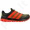 Sportiniai batai bėgimui Adidas   slingshot tr m B23255