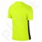 Marškinėliai futbolui Nike Dry Precision IV SS Junior 832986-702