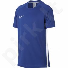 Marškinėliai futbolui Nike B Dry Academy SS Junior AO0739-480