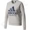Bliuzonas  Adidas Sport ID Sweatshirt W S97068