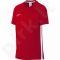 Marškinėliai futbolui Nike B Dry Academy SS Junior AO0739-657