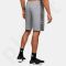 Šortai Under Armour EZ Knit Short M 1306496-035