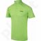 Marškinėliai tenisui Head Transition Bjorn Polo Shirt M 811586-GNNV