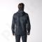 Striukė adidas Infinite Series Wandertag Jacket M D81997
