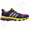 Sportiniai bateliai bėgimui Adidas   supernova riot 6 w W B39864 Q1