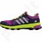 Sportiniai bateliai bėgimui Adidas   supernova riot 6 w W B39864 Q1