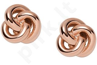 Papuošalas FOSSIL JEWELS JF01364791