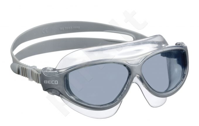 Plaukimo akiniai Panorama UV antifog 9982 11 silver