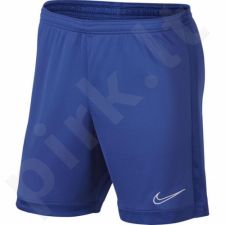 Šortai futbolininkams Nike Dry Academy M AJ9994-480