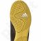 Futbolo bateliai Adidas  X 16.4 IN Leather Jr BB3815