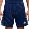 Šortai futbolininkams Adidas CORE 18 TR Short M CV3995