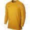Vartininko marškinėliai  Nike Park Goalie II Jersey 588418-739
